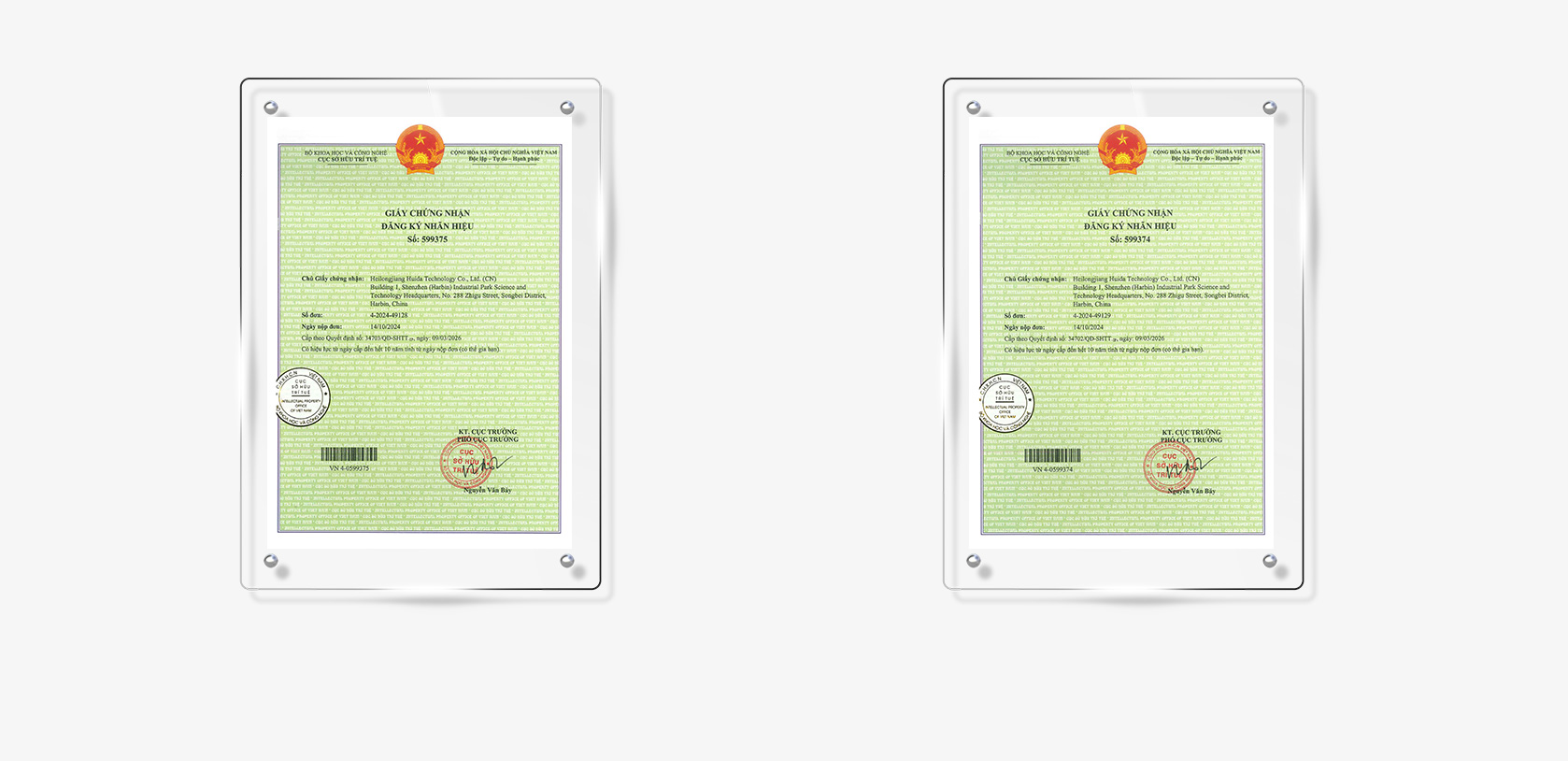 Vector AGR Official Website Development