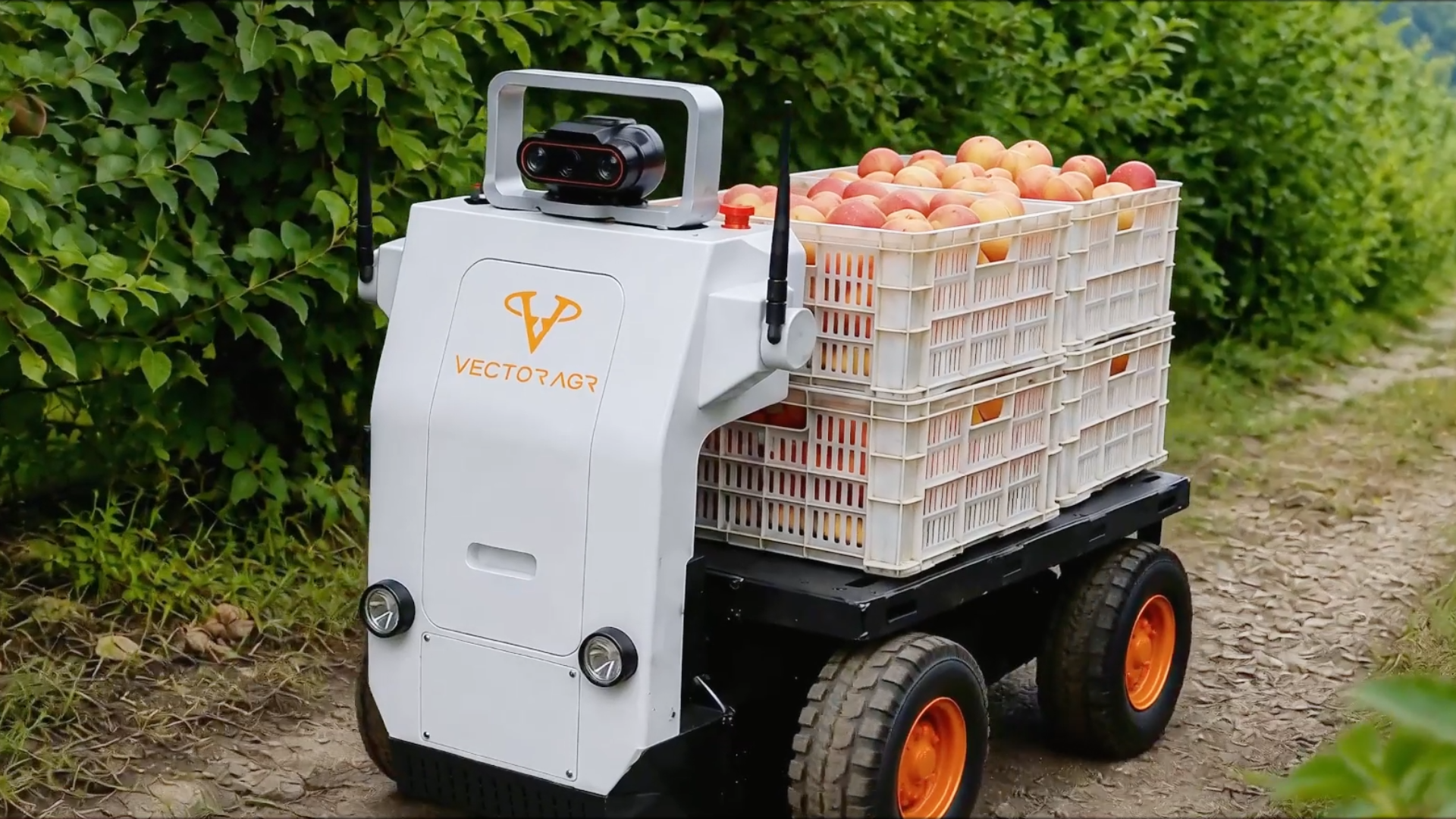 Vector AGR Official Website Development
